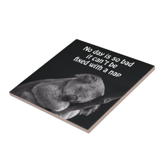 Koala-Bärenfliese Fliese (Seite)