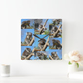 Koala-Bärenfoto-Collage, Quadratische Wanduhr (Zuhause)