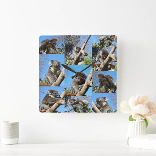 Koala-Bärenfoto-Collage, Quadratische Wanduhr (Zuhause)
