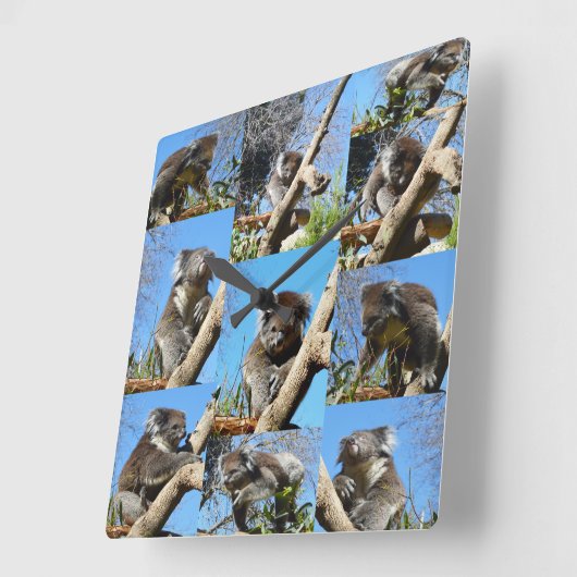 Koala-Bärenfoto-Collage, Quadratische Wanduhr (Winkel)