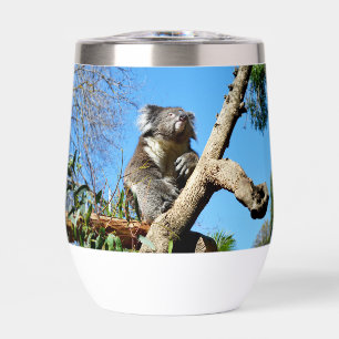 Koala Bärenzeit, um über das Leben nachzudenken,