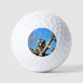 Koala Bärenzeit, um über das Leben nachzudenken, Golfball (Vorderseite)