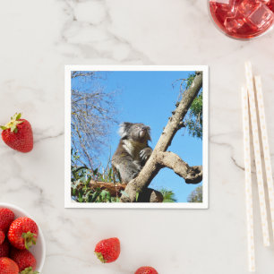Koala Bärenzeit, um über das Leben nachzudenken, Serviette