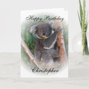 Lustiger Koala Karten Zazzle De