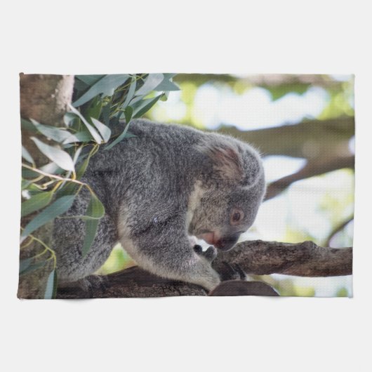 Koala-Bärn-Geschirrtuch Geschirrtuch (Horizontal)