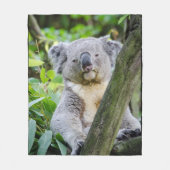 Koala-Bärn-große Fleece-Decke Fleecedecke (Vorderseite)
