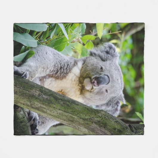 Koala-Bärn-große Fleece-Decke Fleecedecke (Vorderseite (Horizontal))