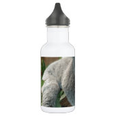 Koala-Bärn-Liebe-Tier-Schicksal Edelstahlflasche (Links)