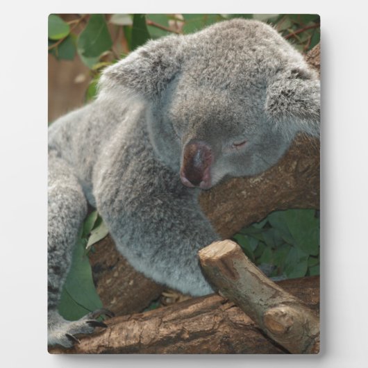 Koala-Bärn-Liebe-Tier-Schicksals-Geschenke Fotoplatte (Vorderseite)