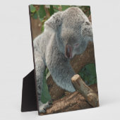 Koala-Bärn-Liebe-Tier-Schicksals-Geschenke Fotoplatte (Seite)