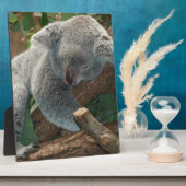 Koala-Bärn-Liebe-Tier-Schicksals-Geschenke Fotoplatte (Seite)