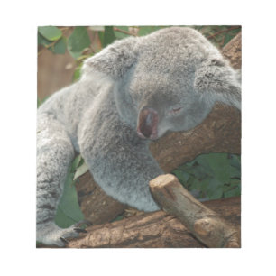 Koala-Bärn-Liebe-Tier-Schicksals-Geschenke Notizblock