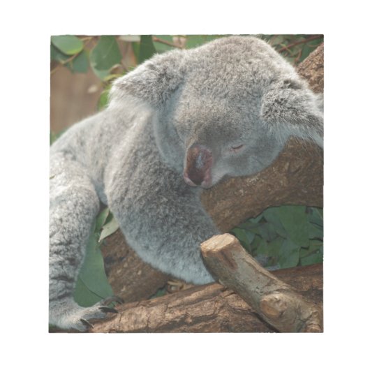 Koala-Bärn-Liebe-Tier-Schicksals-Geschenke Notizblock (Vorderseite)