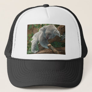 Koala-Bärn-Liebe-Tier-Schicksals-Geschenke Truckerkappe