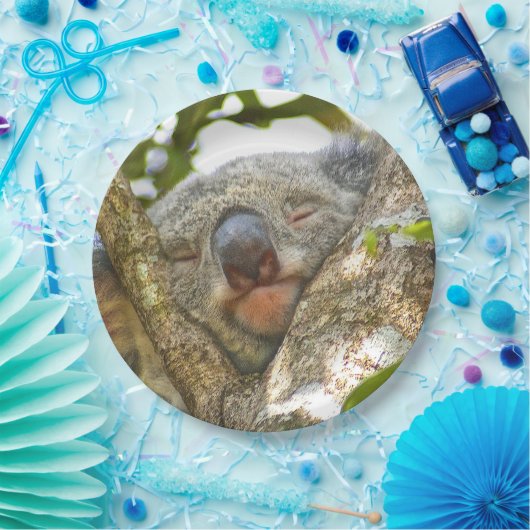 Koala-Bärn-Pappteller Pappteller (Party)
