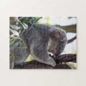 Koala-Bärn-Puzzlespiel Puzzle (Horizontal)