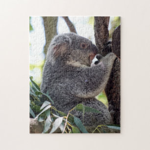 Koala-Bärn-Puzzlespiel Puzzle