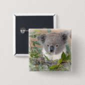 Koala-Bärn-Quadrat-Button Button (Vorne & Hinten)