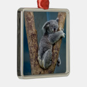 Koala-Bärn-Schlaf, der einen Baum umarmt Silbernes Ornament (Rechts)