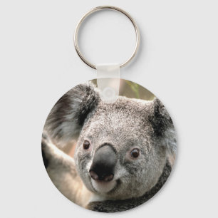 Koala-Bärn-Schlüsselketten Schlüsselanhänger