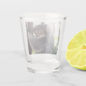 Koala-Bärn-Schnapsglas Schnapsglas (Rückseite)