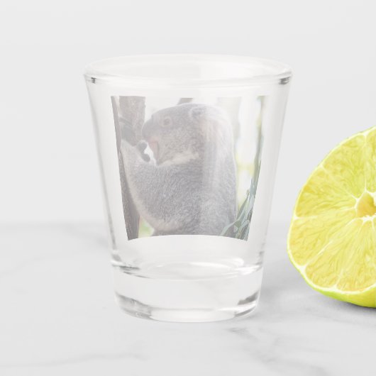 Koala-Bärn-Schnapsglas Schnapsglas (Rückseite)