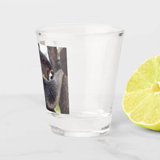 Koala-Bärn-Schnapsglas Schnapsglas (Rechts)