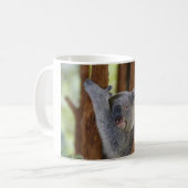 Koala-Bärn-Tasse Kaffeetasse (Vorderseite Links)