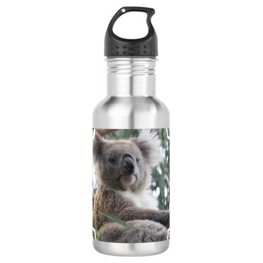 Koala-Bärn-Tatsachen Edelstahlflasche (Vorderseite)