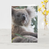 Koala-Bärn-Tatsachen-Gruß-Karte Karte (Gelbe Blume)