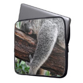 KOALA BÄRSCHLAFEN AUF BAUM LAPTOPSCHUTZHÜLLE (Vorderseite Links)