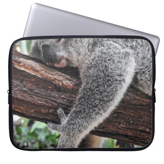 KOALA BÄRSCHLAFEN AUF BAUM LAPTOPSCHUTZHÜLLE (Vorderseite)