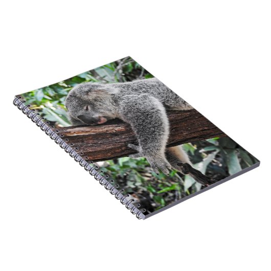 KOALA BÄRSCHLAFEN AUF BAUM NOTIZBLOCK (Rechte Seite)