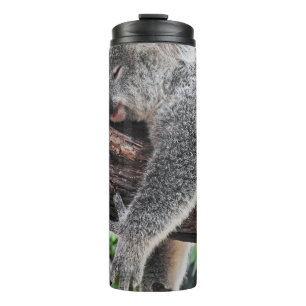 KOALA BÄRSCHLAFEN AUF BAUM THERMOSBECHER