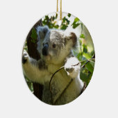 Koala Bear Aussi Safari Peace Liebe Nature Destiny Keramik Ornament (Rechts)