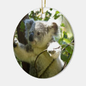 Koala Bear Aussi Safari Peace Liebe Nature Destiny Keramik Ornament (Links)