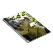 Koala Bear Aussi Safari Peace Liebe Nature Destiny Notizblock (Rechte Seite)