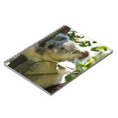 Koala Bear Aussi Safari Peace Liebe Nature Destiny Notizblock (Linke Seite)