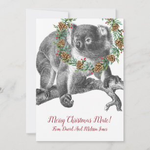 Koala Bear Aussie Christmas Greeting Feiertagskarte