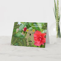 Koala Bear Chill Birthday Card