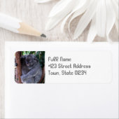 Koala Bear Cuddle Rücksendeadresse (Insitu)