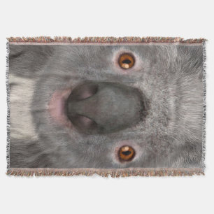 Koala Bear Decke