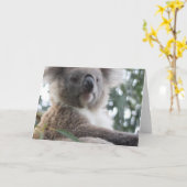 Koala Bear Facts Grußkarten Karte (Gelbe Blume)