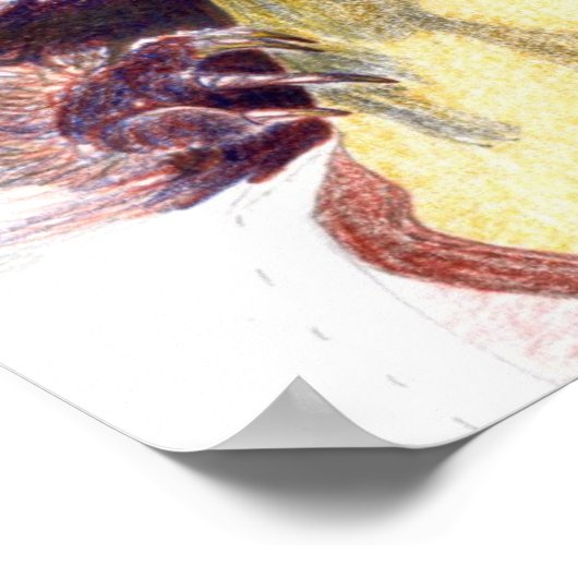 Koala Bear Fine Art Print and Poster (Ecke)