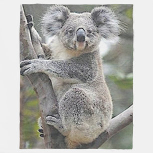 KOALA BEAR FLEECEDECKE