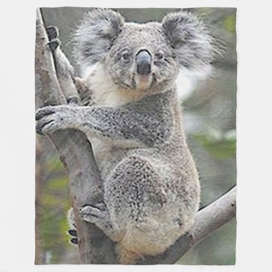 KOALA BEAR FLEECEDECKE (Vorderseite)