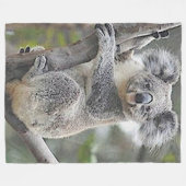 KOALA BEAR FLEECEDECKE (Vorderseite (Horizontal))