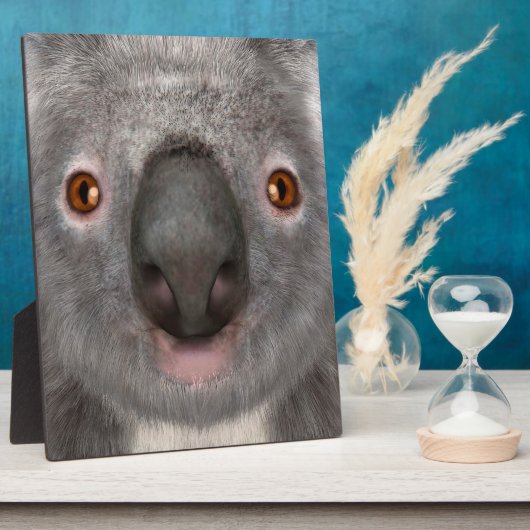 Koala Bear Fotoplatte (Seite)