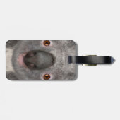 Koala Bear Gepäckanhänger (Rückseite horizontal)