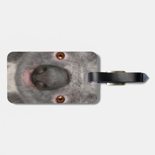 Koala Bear Gepäckanhänger (Rückseite horizontal)